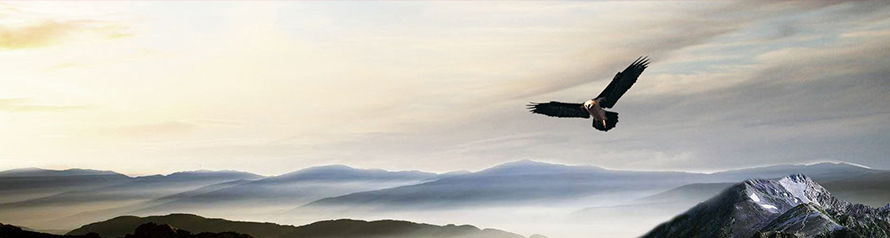 1516243678759941.jpg aa_09.jpg